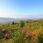 Villa In Mammi With Pool Near Florence *
